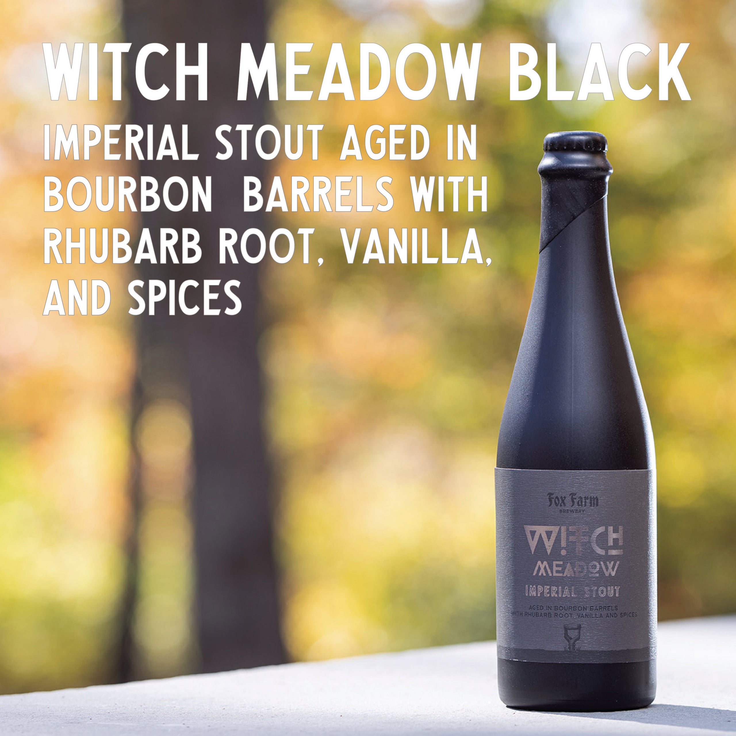 Witch Meadow Black Imperial Stout aged in Bourbon Barrels with Rhubarb